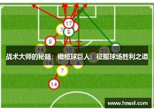 战术大师的秘籍：橄榄球巨人：征服球场胜利之道